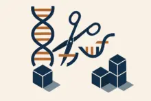 What CRISPR Gene Editing Can and Cannot Do